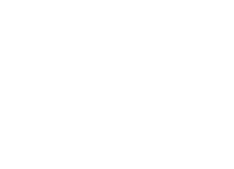 safe electric e1770888600842